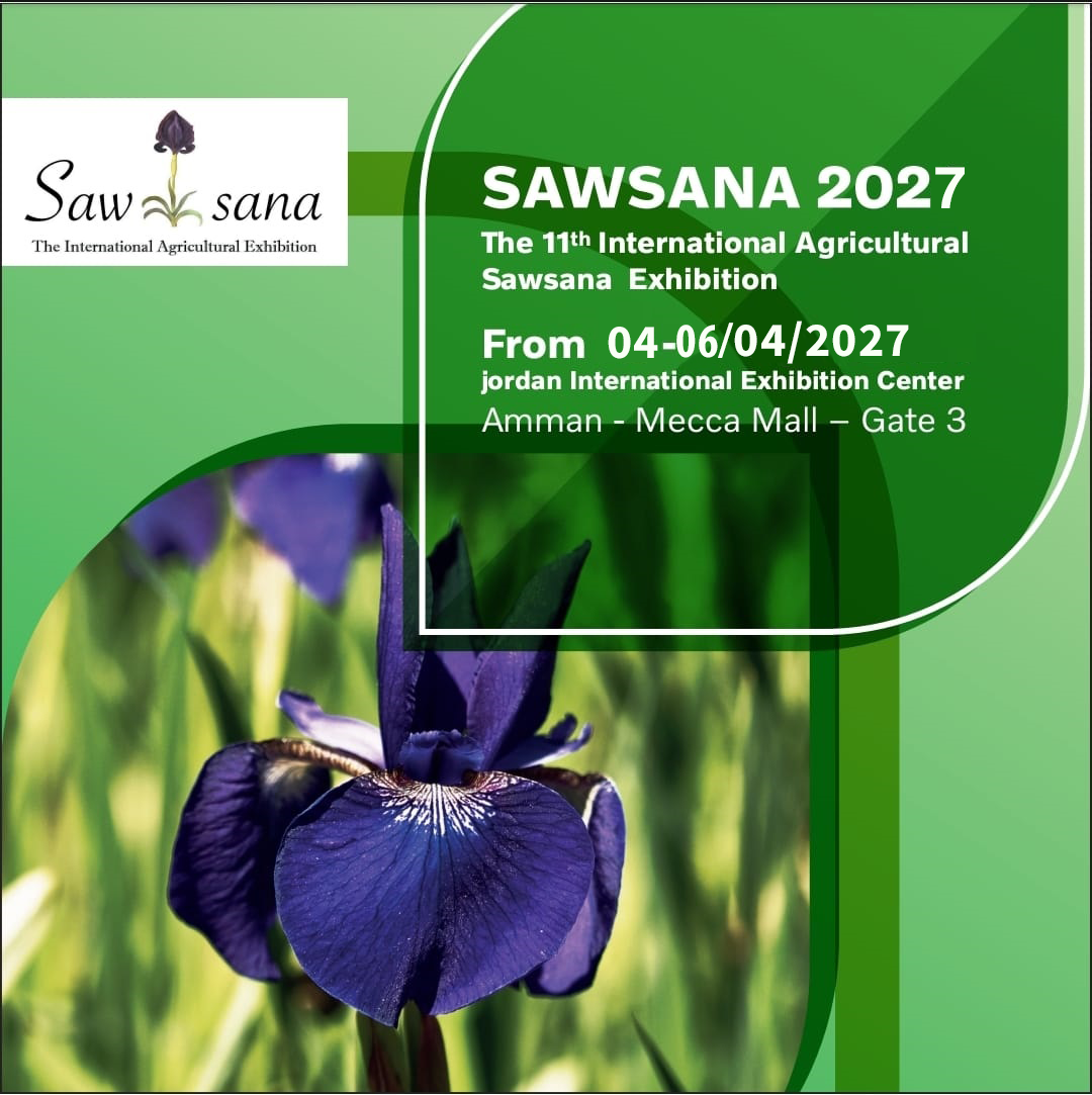 SAWSANA2